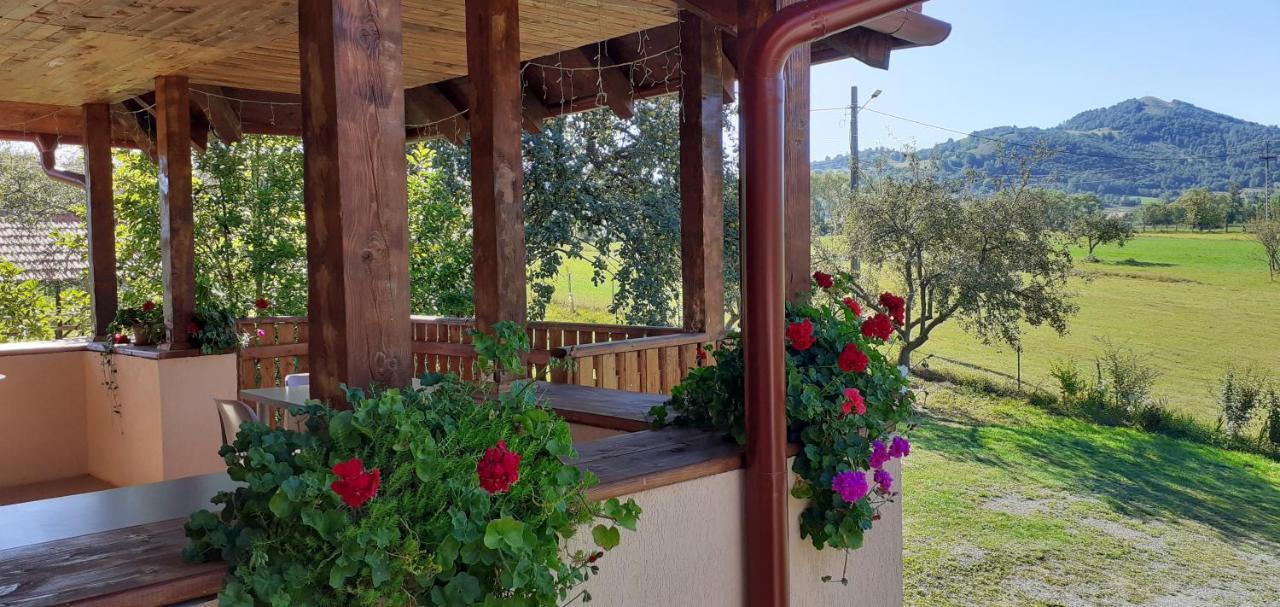 Pensiunea Agroturistica Ica Valea Draganului Exterior photo
