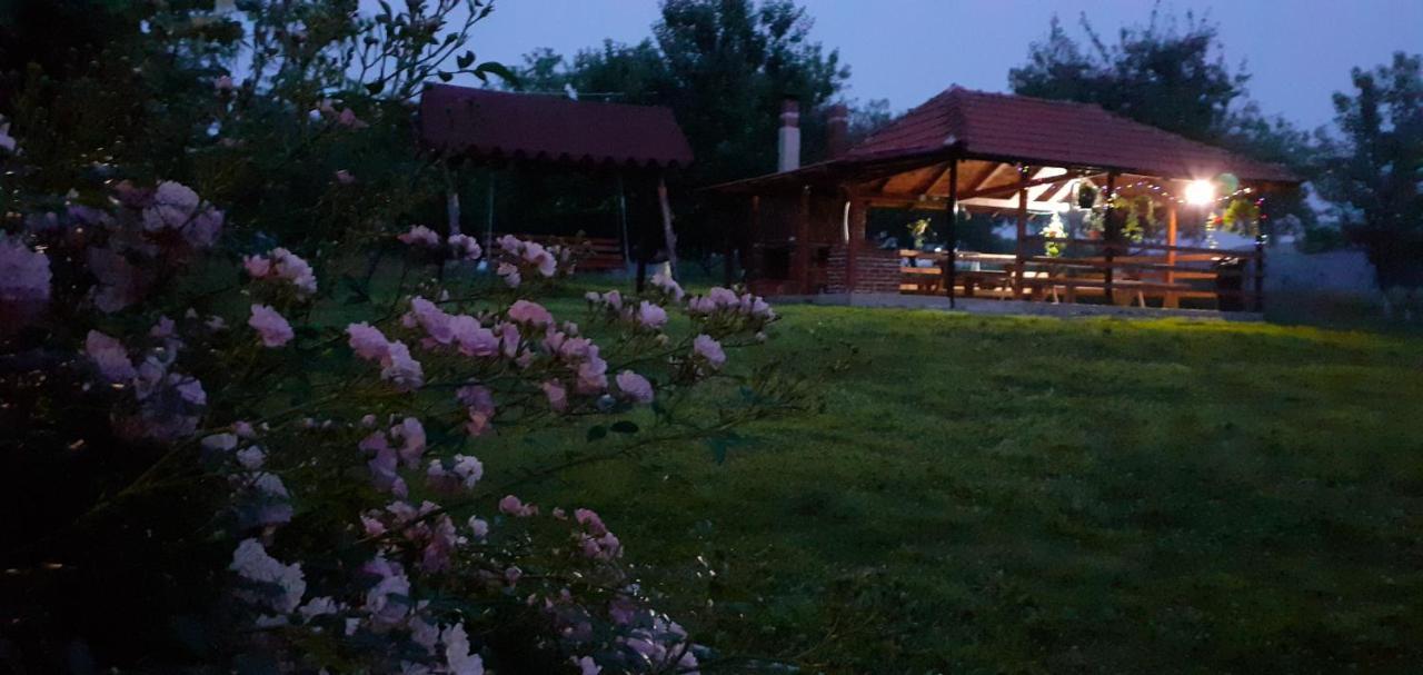 Pensiunea Agroturistica Ica Valea Draganului Exterior photo