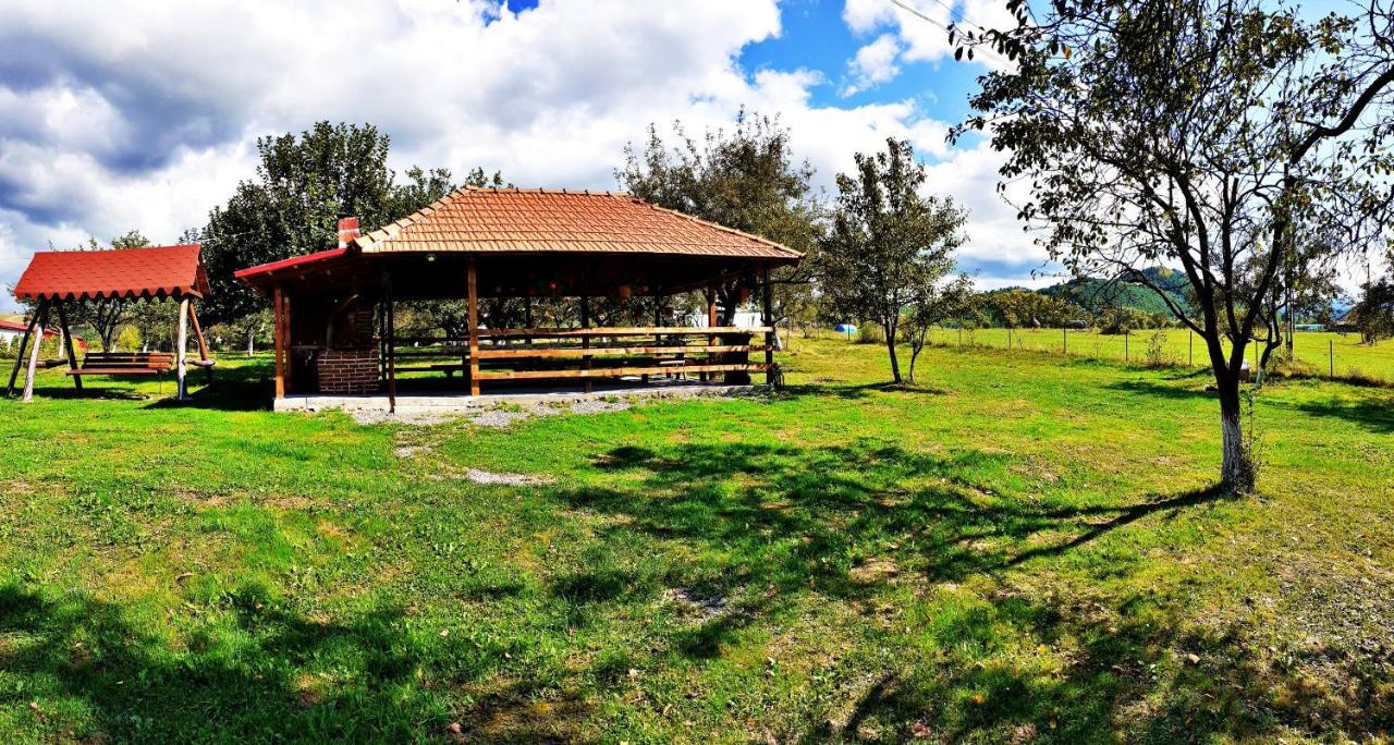 Pensiunea Agroturistica Ica Valea Draganului Exterior photo