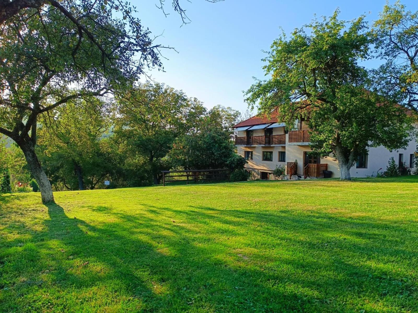 Pensiunea Agroturistica Ica Valea Draganului Exterior photo