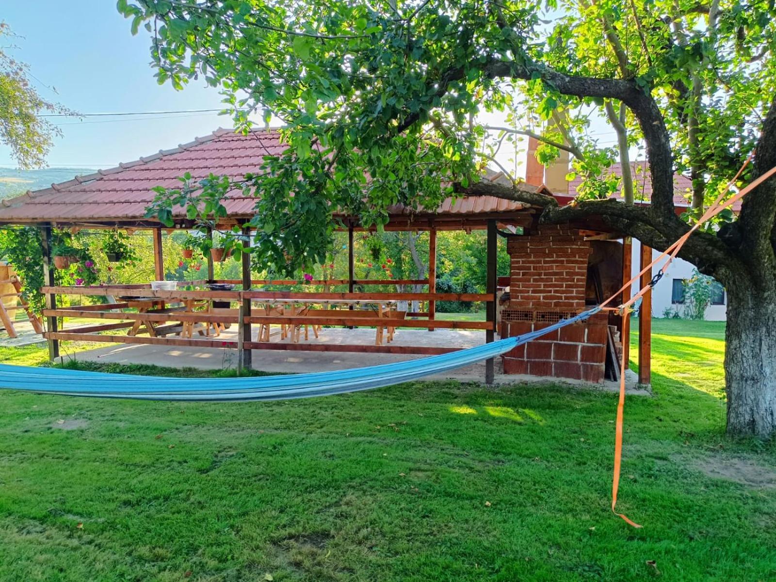 Pensiunea Agroturistica Ica Valea Draganului Exterior photo