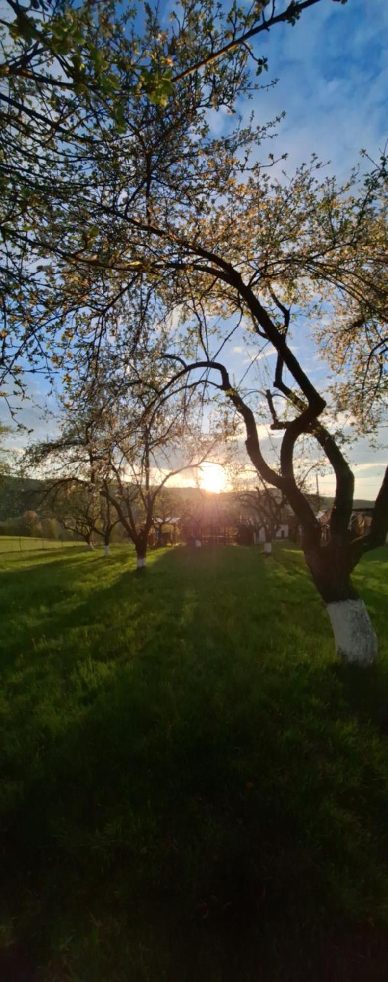 Pensiunea Agroturistica Ica Valea Draganului Exterior photo